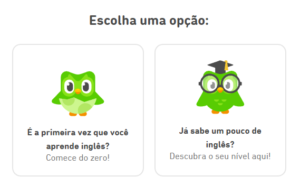 Duolingo nivel de inglês